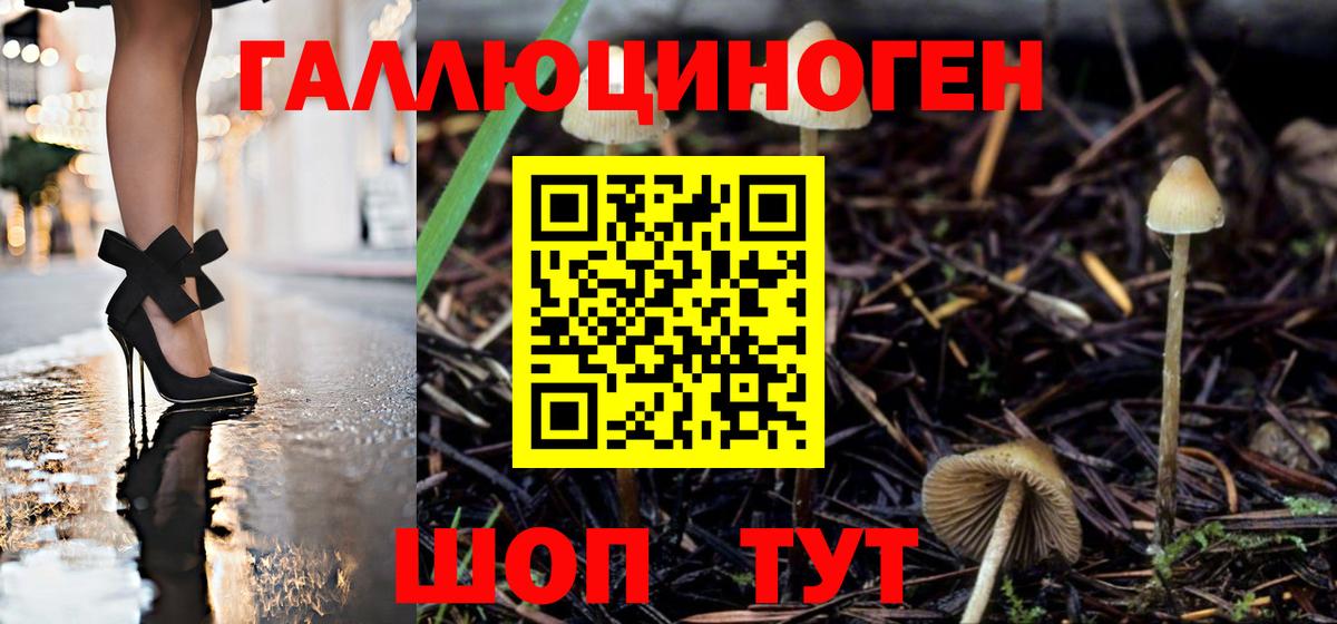 Котлас  Псилоцибиновые грибы Magic Shrooms  Вход с VPN 